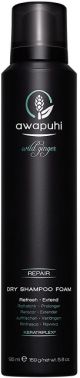 Paul Mitchell Awapuhi Wild Ginger Dry Shampoo Foam 5.6 oz
